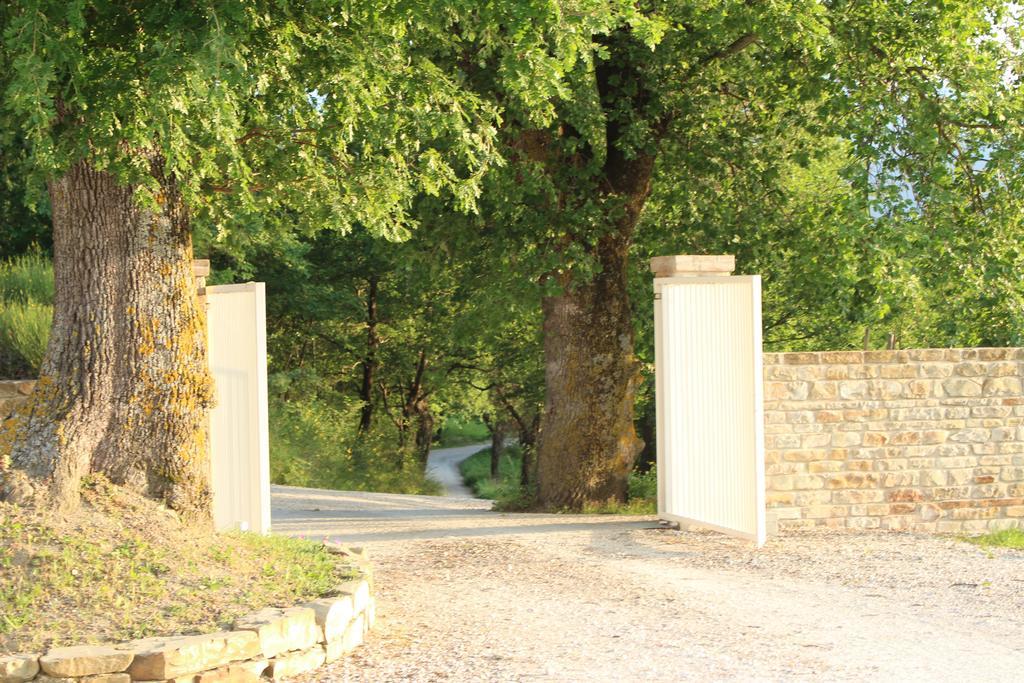 Amico Country House Serra San Quirico 외부 사진