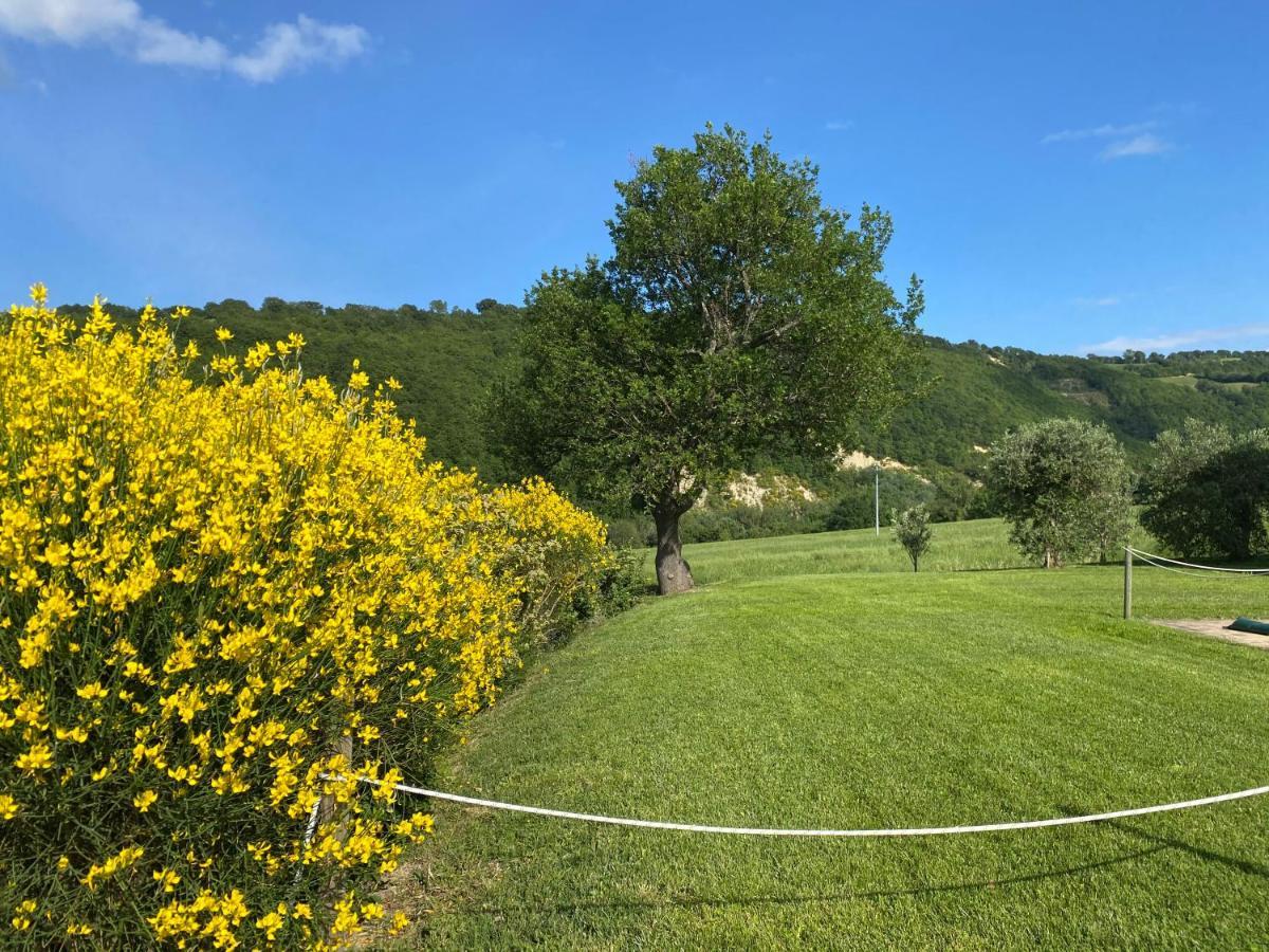 Amico Country House Serra San Quirico 외부 사진