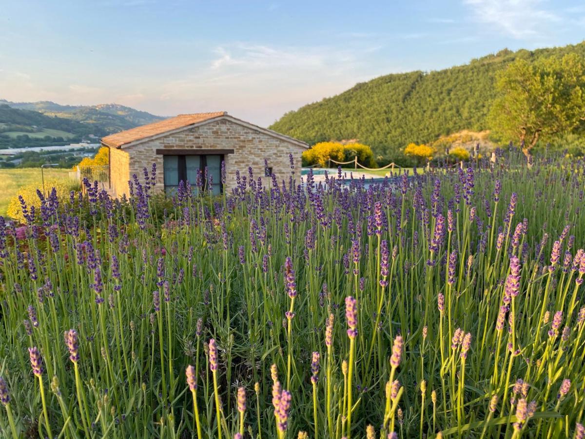 Amico Country House Serra San Quirico 외부 사진