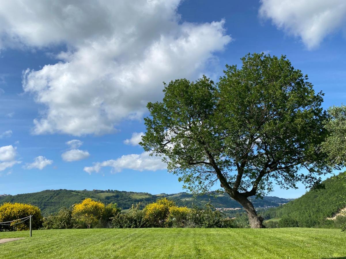 Amico Country House Serra San Quirico 외부 사진